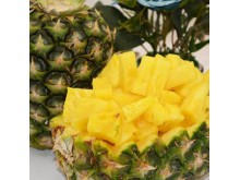 IQF Pineapple tidbits