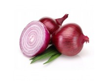 Onion