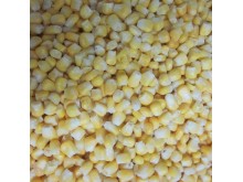 Frozen Sweet Corn Kernel